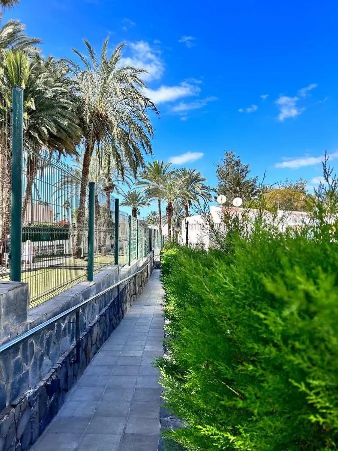 Apartment Virginia Playa de las Americas   Playa de las Americas (Tenerife)