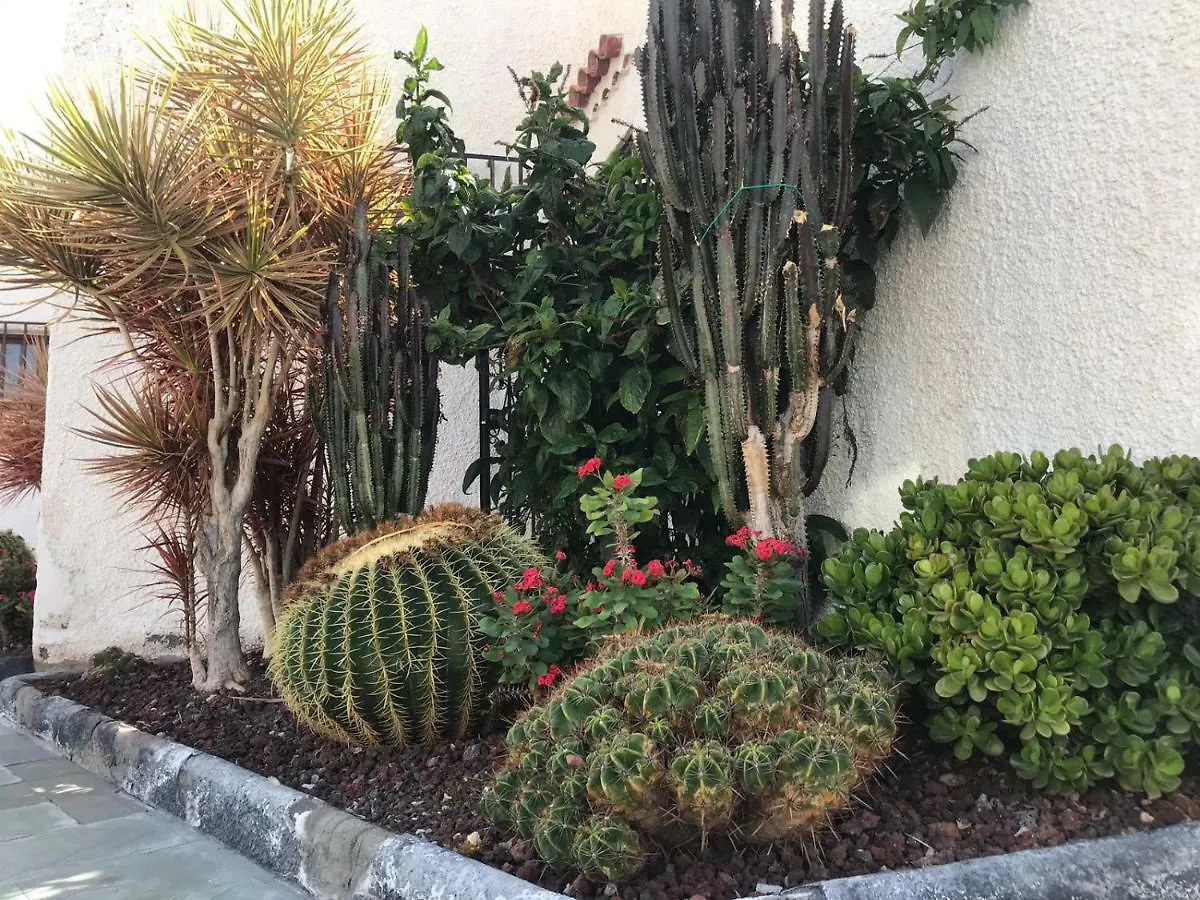 Apartment Virginia Playa de las Americas  0*, Playa de las Americas (Tenerife)