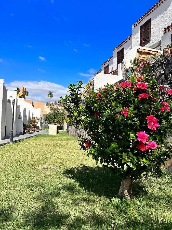 Apartment Virginia Playa de las Americas