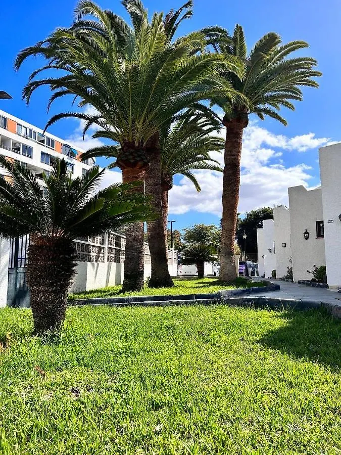 Apartment Virginia Playa de las Americas  Spain