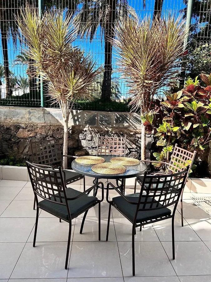 Apartment Virginia Playa de las Americas  Playa de las Americas (Tenerife)