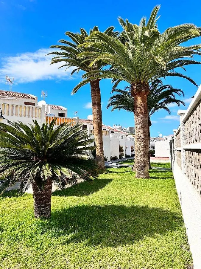 Apartment Virginia Playa de las Americas