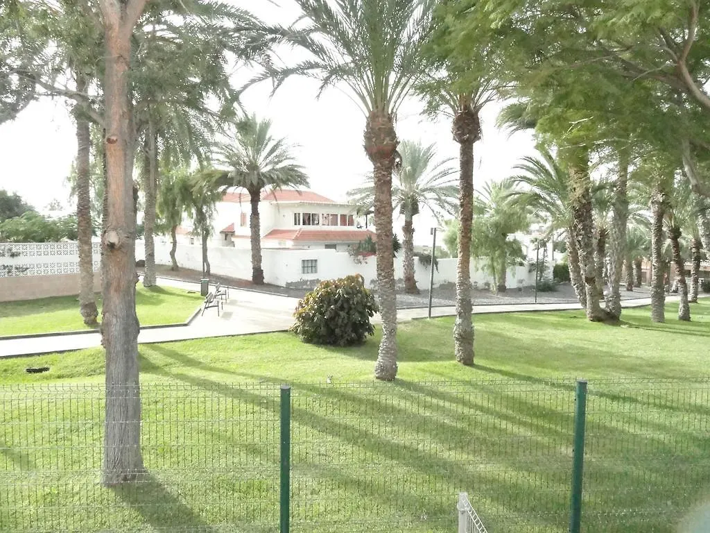 Apartment Virginia Playa de las Americas  Spain
