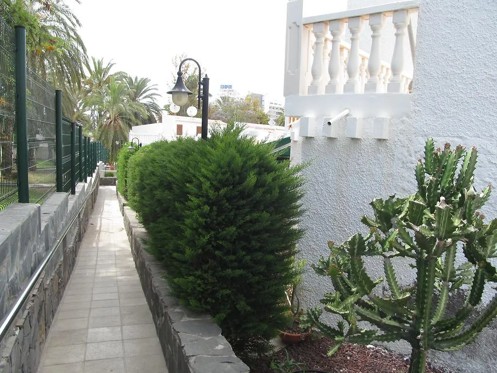 Apartment Virginia Playa de las Americas