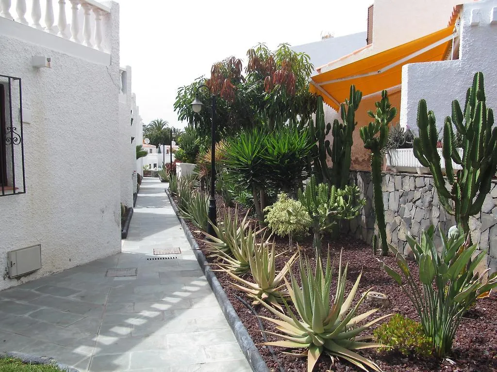 Apartment Virginia Playa de las Americas  0*, Playa de las Americas (Tenerife) Spain