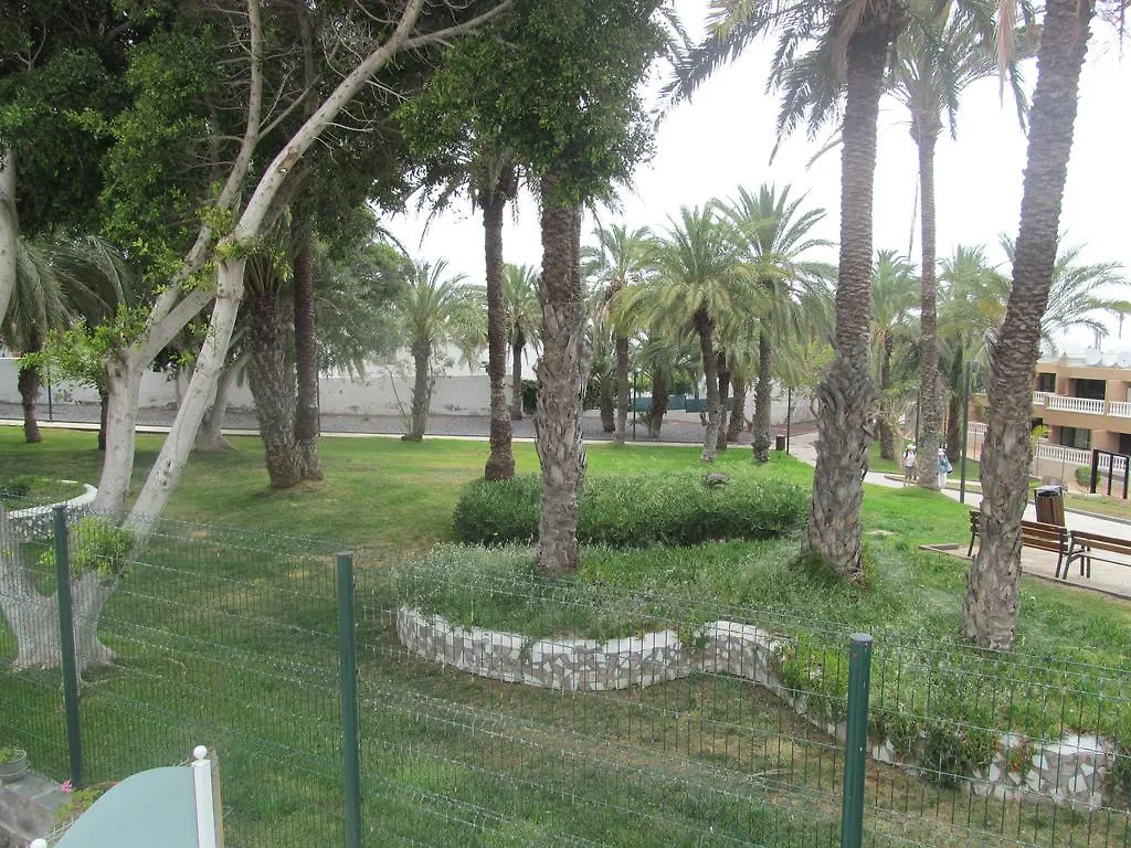 Apartment Virginia Playa de las Americas   Playa de las Americas (Tenerife)
