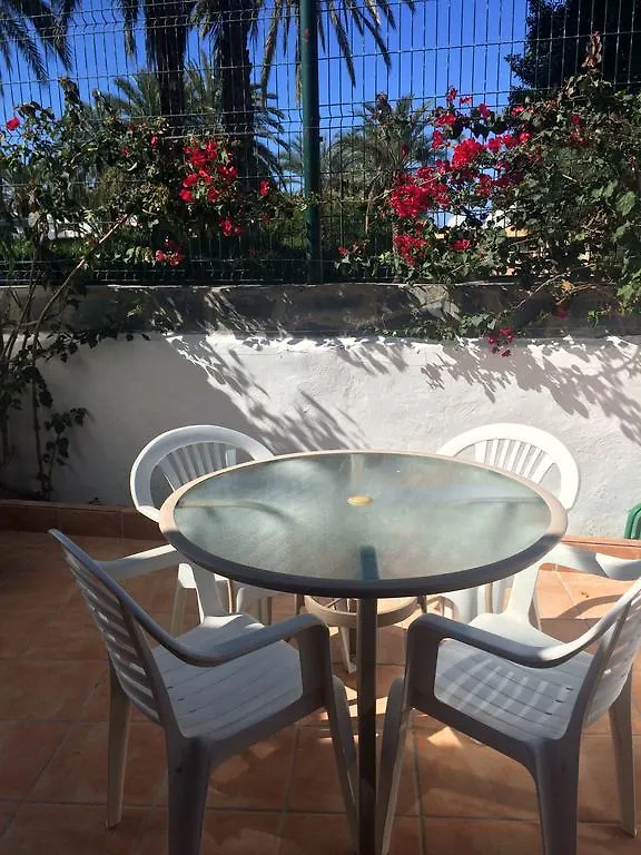 Apartment Virginia Playa de las Americas  0*, Playa de las Americas (Tenerife) Spain
