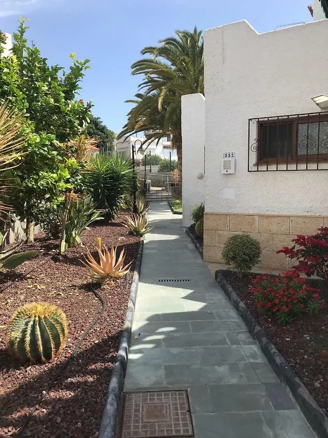 Apartment Virginia Playa de las Americas